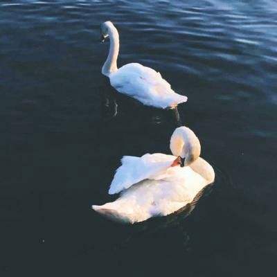 万博体育全站ManBetX